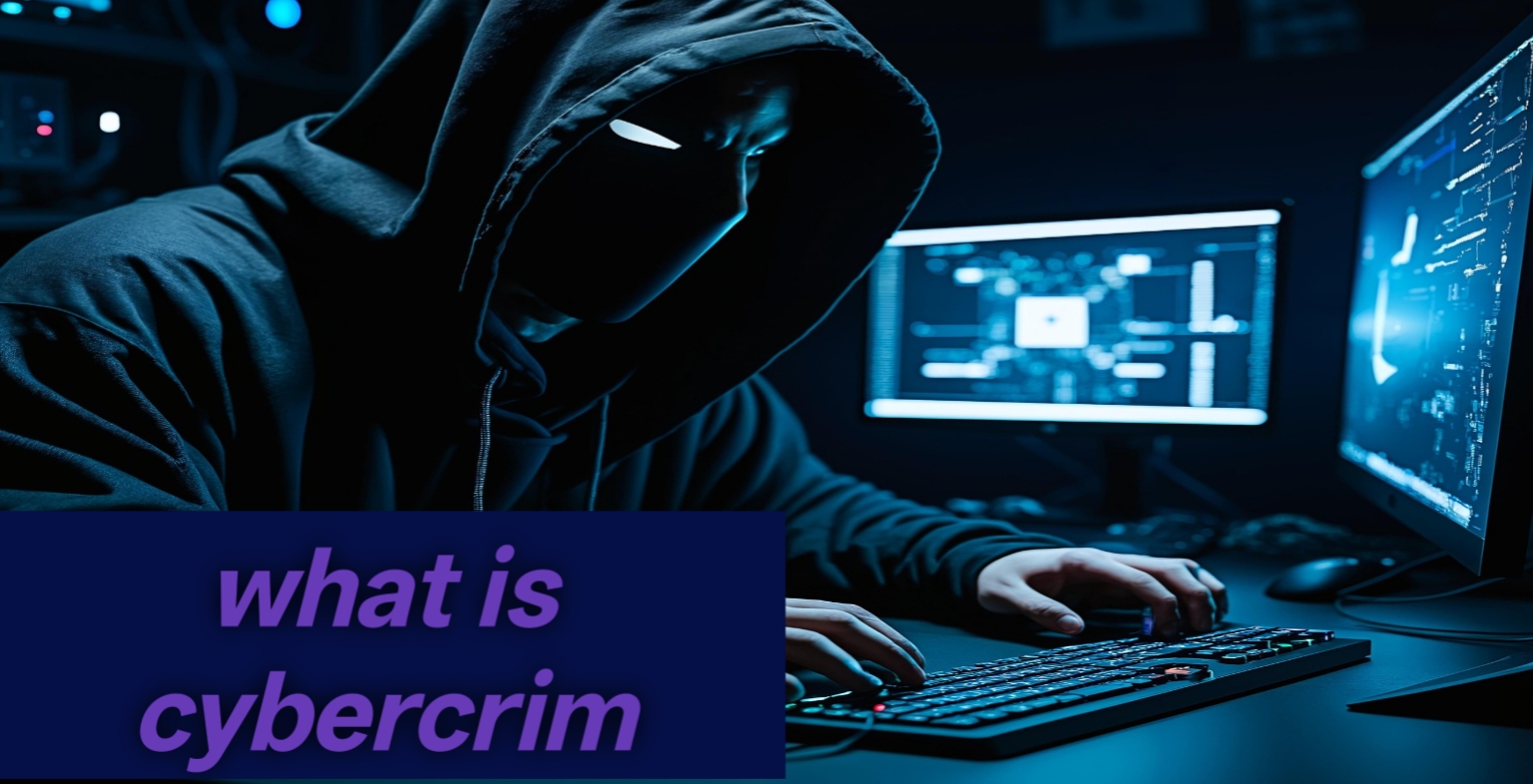 What is the cyber crime and how many types